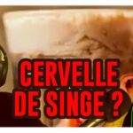 cocktail cervelle de singe recette cerveau halloween 2023 indiana jones film de kubi dormoy