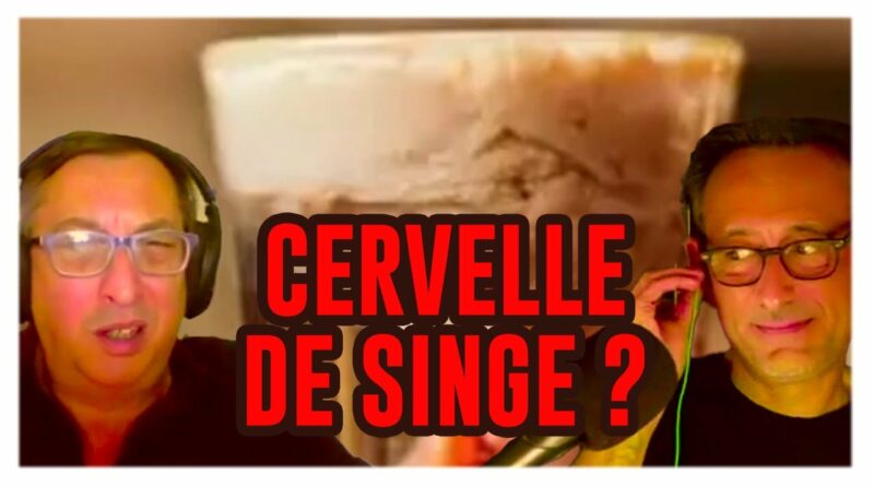 cocktail cervelle de singe recette cerveau halloween 2023 indiana jones film de kubi dormoy