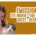emission 8 de kubi dormoy ete indien joe dassin oceane