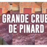grande crue de pinard au portugal innondation de vin de kubi dormoy