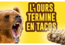 de-kubi-dormoy-ours-en-tacis-suede-kebab-viande-replay-video-agression-ours-homme-hot-dog
