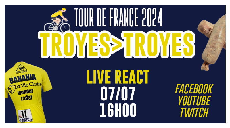 MINIATURE EM17 - TROYES TROYES