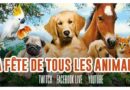 la fete de tous les animauux dekubi dormoy